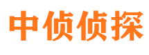 翼城市私家侦探